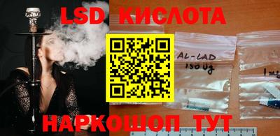 индика Пенза