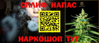 гашик Партизанск
