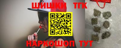 индика Пенза