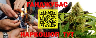 индика Пенза