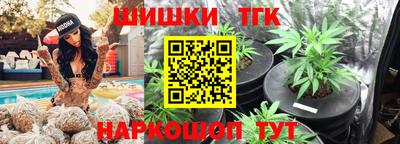 индика Пенза