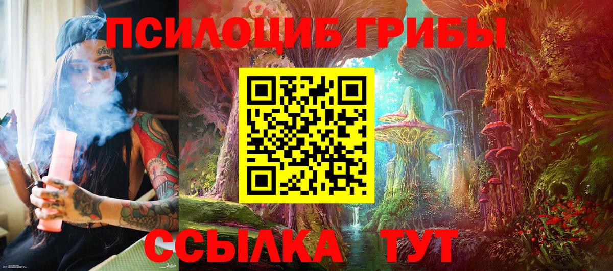 Псилоцибиновые грибы Psilocybine cubensis Светлоград