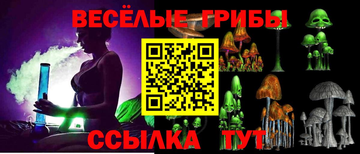 Галлюциногенные грибы мухоморы  Вход с VPN  Светлоград 